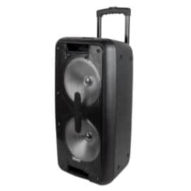 מערכת קריוקי דינמית ניידת מקצועית 2X10" RICH TECH ריץ` טק דגם RT73S