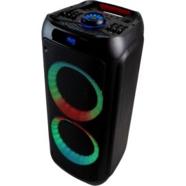 בידורית קריוקי Richtech RT308