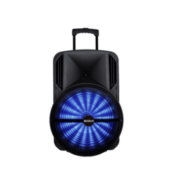 בידורית קריוקי ניידת 15 אינטש RICHTECH דגם RT15V2